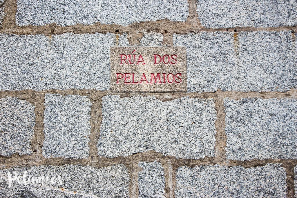 דירות סנטיאגו דה קומפוסטלה Pelamios House מראה חיצוני תמונה